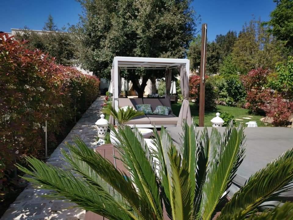 Apulia Dream B&B Le Lamie di Olimpe Exteriér fotografie